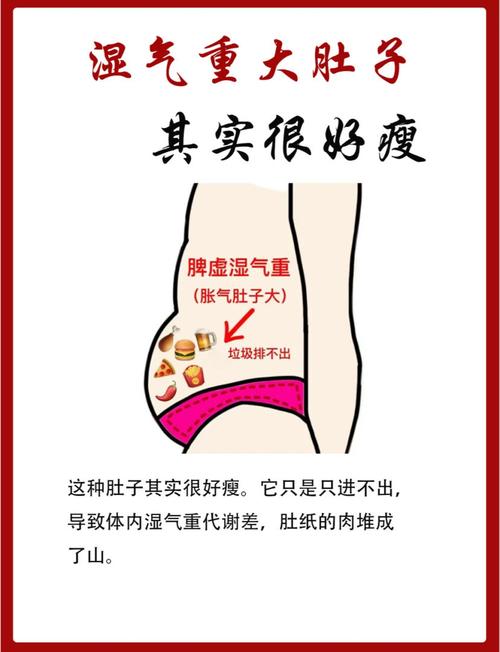 小肚子的致胖大敌，你真的都了解吗？