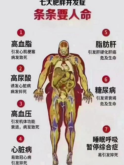 你知道哪些是导致肥胖的8大致命危害吗？