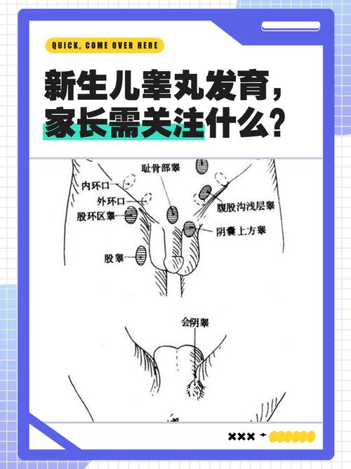 肥胖儿的睾丸发育是否受到影响？