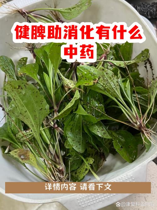 爸爸汤消啤酒肚这个民间偏方真的有效吗？