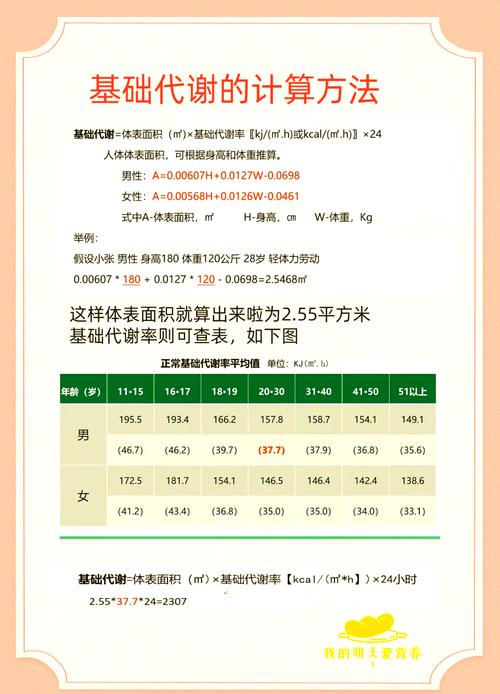 在开始减肥前，我该如何准确了解自己的基础代谢率呢？