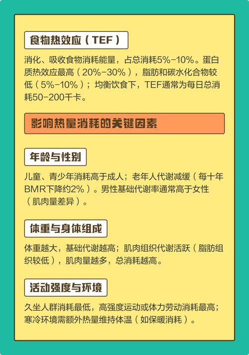 一天人体需要多少热量才能维持正常生理活动？