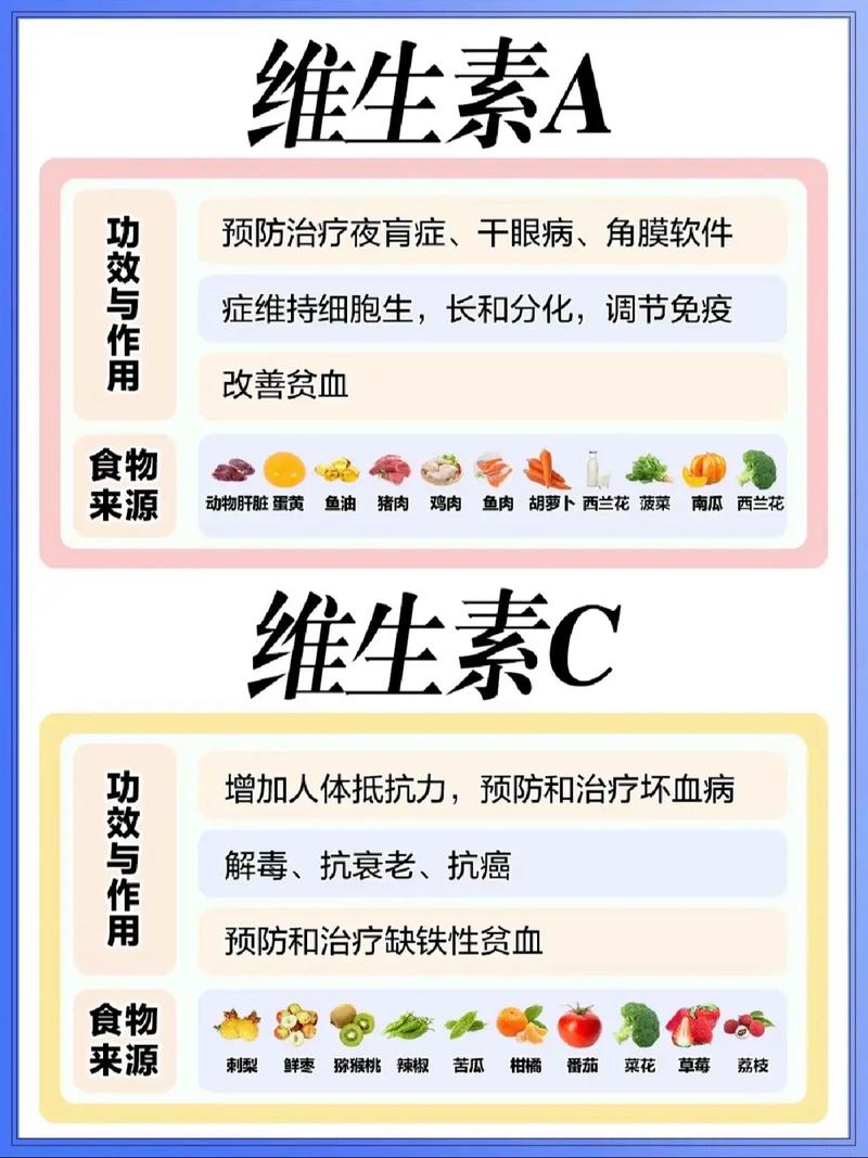 快速减肥初期，我需要补充哪些维生素才能有效进行？