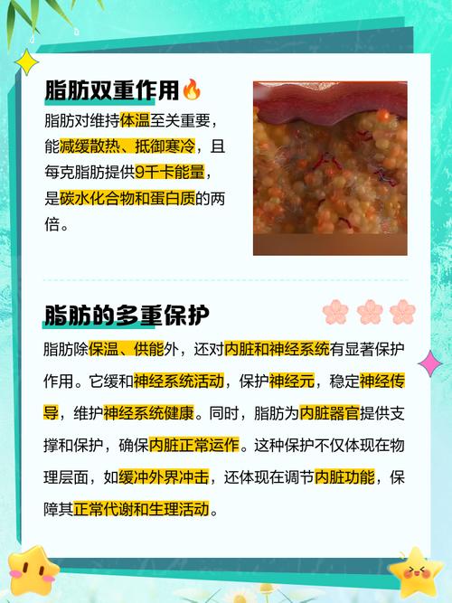 脂肪真的就一无是处吗？专业医师怎么说？