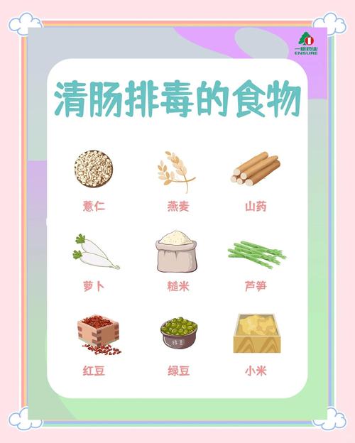 如何通过食用4道排毒菜品轻松减轻身体负担？