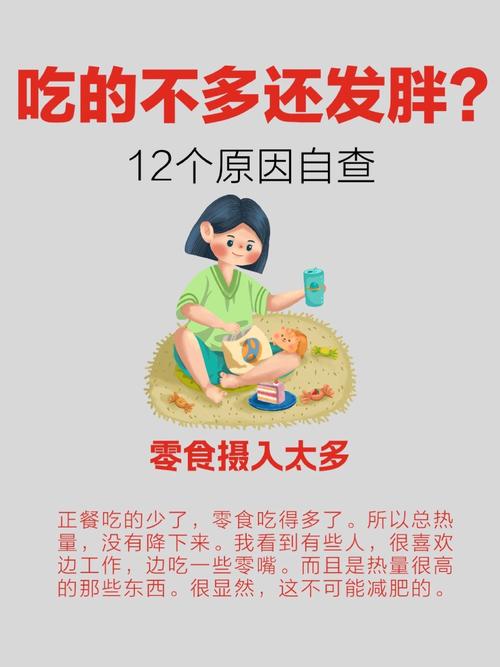 为何吃得不多体重却持续增加，反而越来越胖呢？