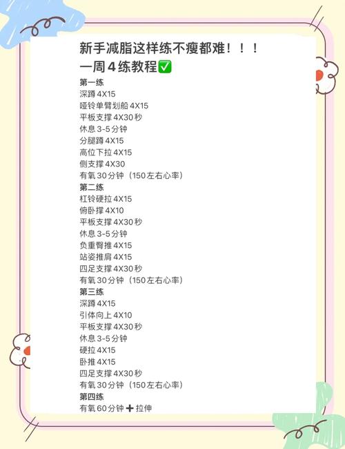 如何根据专家推荐制定有效的减腹部脂肪训练计划？