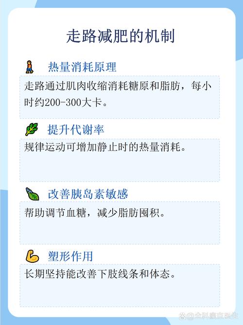 李静小腹婆美体如何轻松改变？