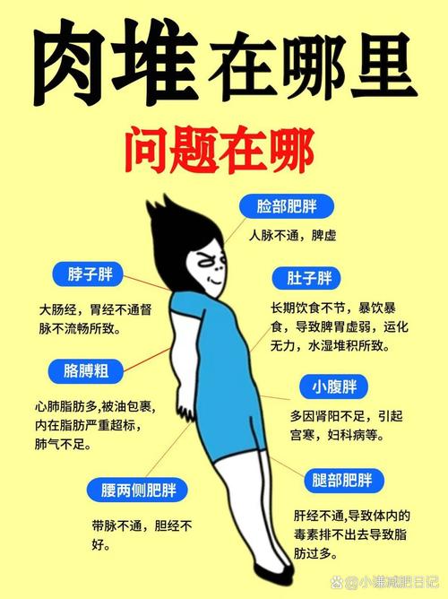 为什么我总是追根溯源，身体发胖的10大元凶却难以摆脱？