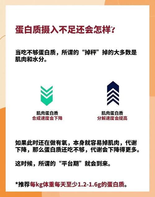 蛋白质摄入不足会对身体健康造成哪些严重后果？