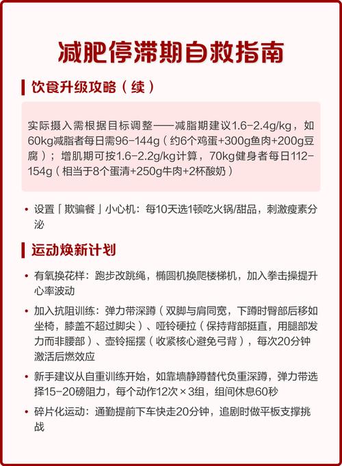 如何突破减肥停滞期，找到持续减重的有效方法？