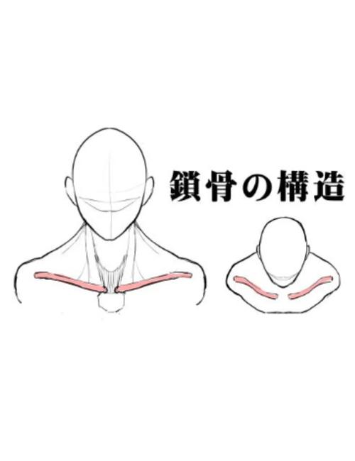 如何通过5个超有效动作打造迷人锁骨，即使没有锁骨也能性感？