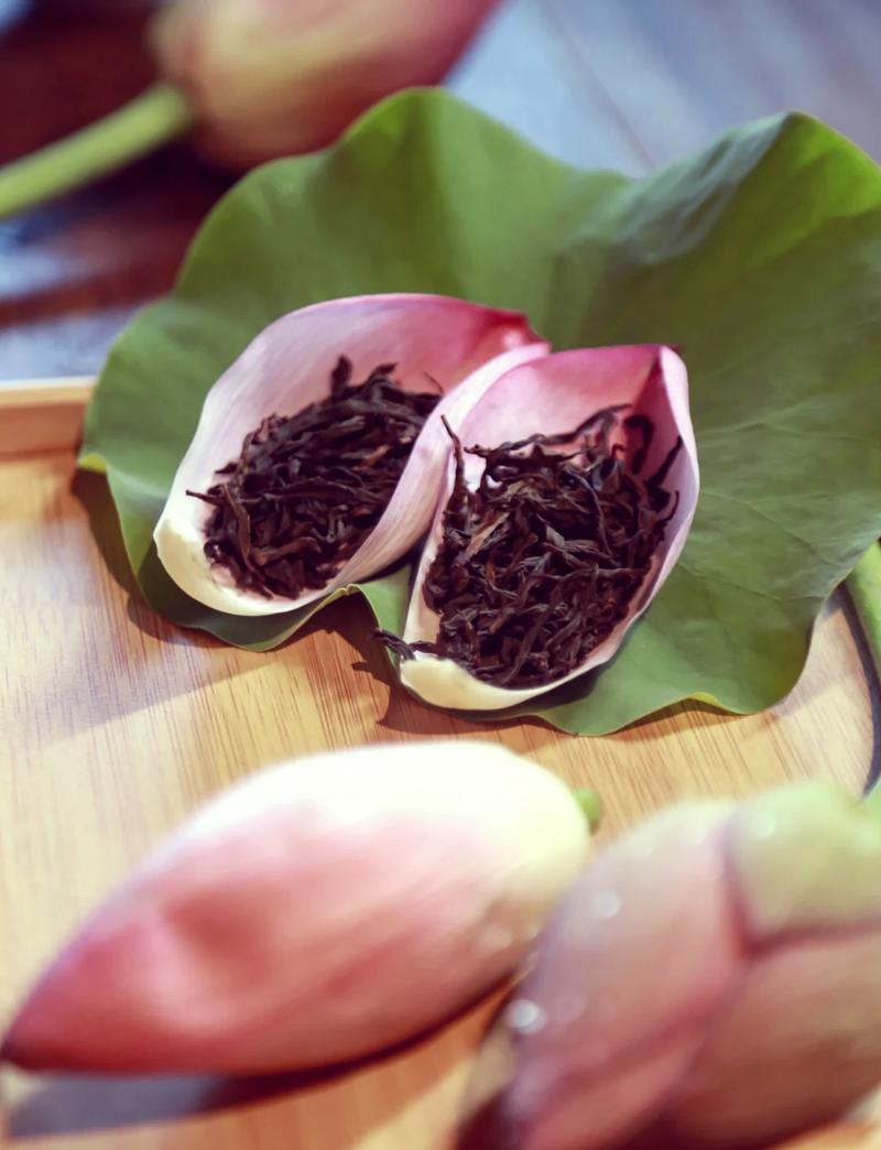 夏日荷花别样红，自制消脂甩肉荷叶茶效果如何？