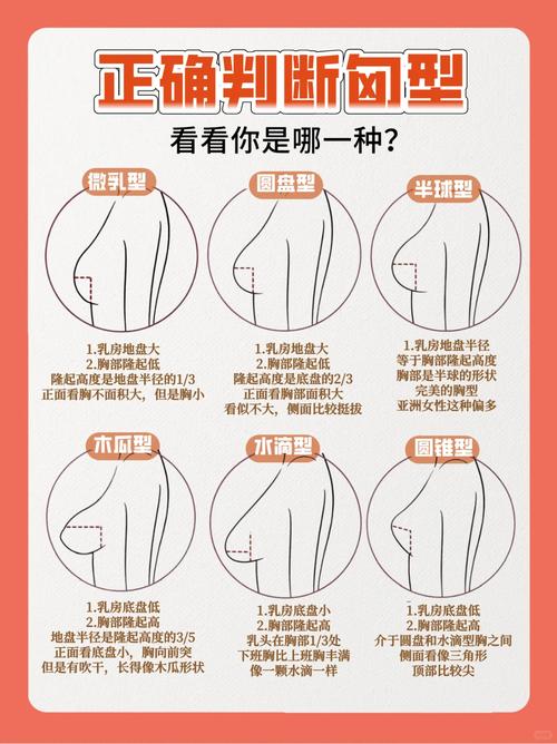 什么样的乳房符合现代美学观点，梗受大众喜爱？