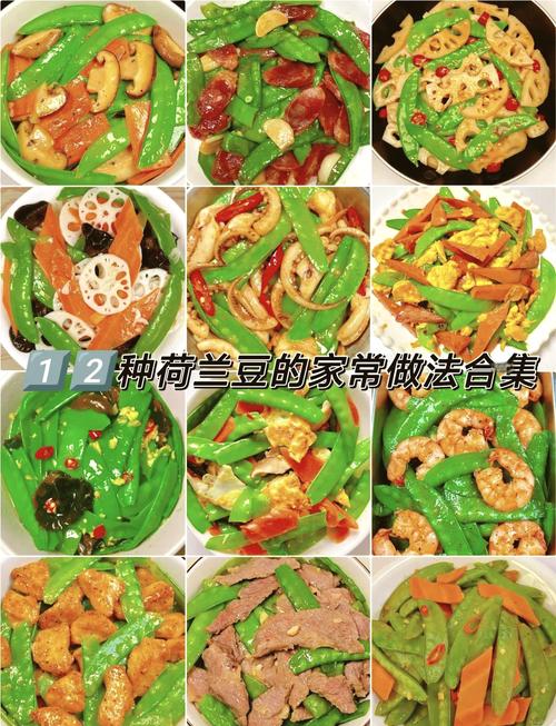 哪种豆类最适合作为家常菜的最佳食用方式呢？