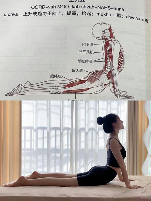 如何通过练习九式瑜伽打造最完美的背部曲线？