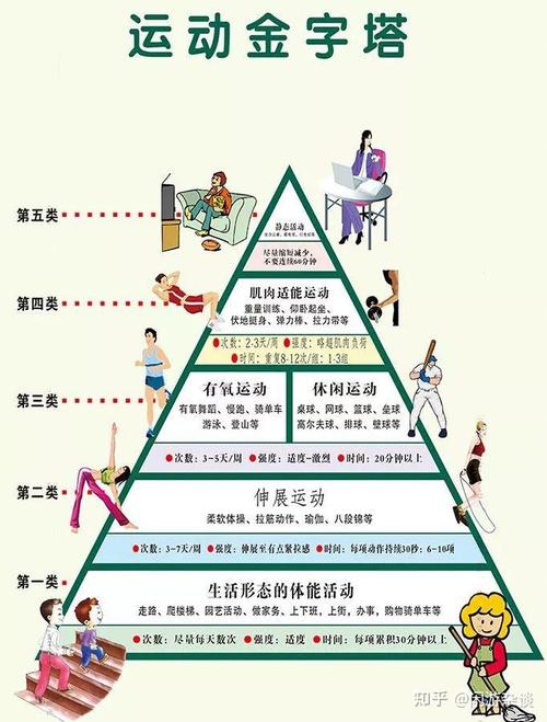 如何构建一个健康的生活方式，运动金字塔应该怎么规划？