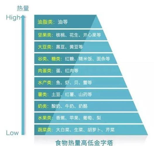 人体摄入的热量究竟都转化成了哪些形式的能量和物质？