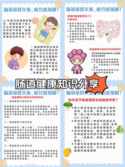 改善肠道环境，能收获哪些意想不到的健康惊喜呢？