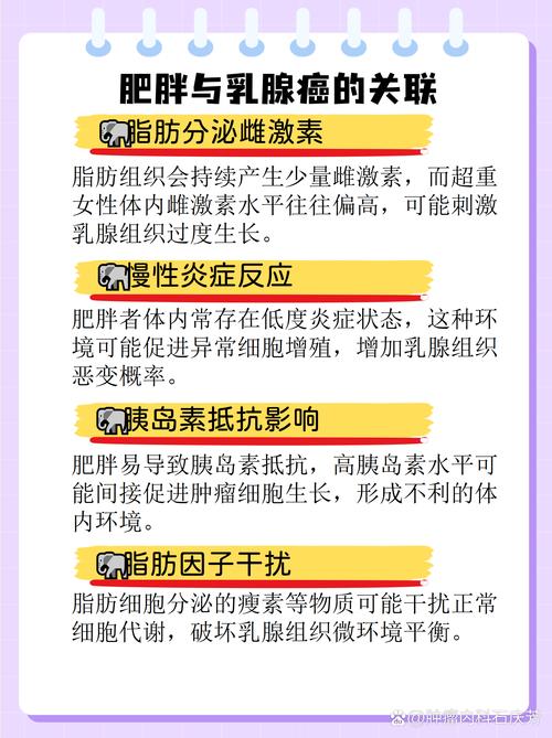肥胖是否与乳腺癌之间存在某种关联？