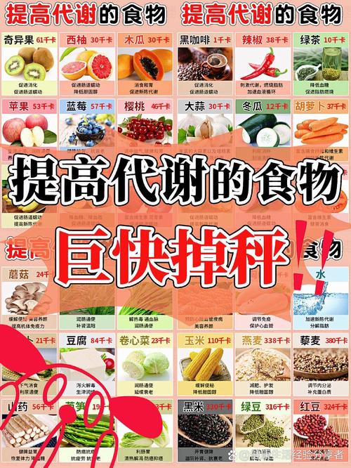 有哪些食物可以帮助提高人体新陈代谢速度？