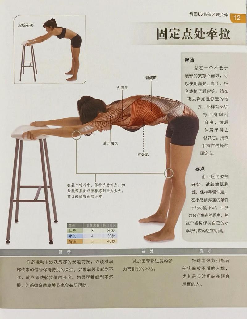 如何同过锻炼塑造出修长挺拔的美背呢？