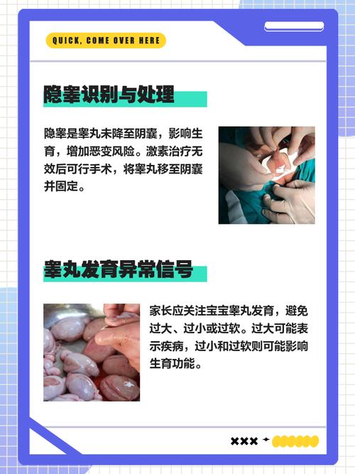 肥胖儿的睾丸发育是否受到影响？