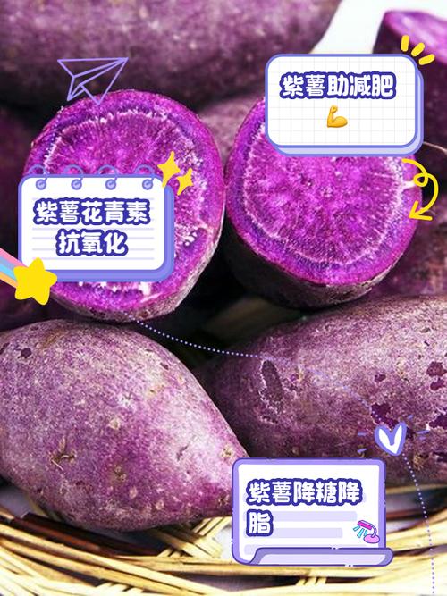 每天吃紫薯能帮助减肥和降低血压吗？