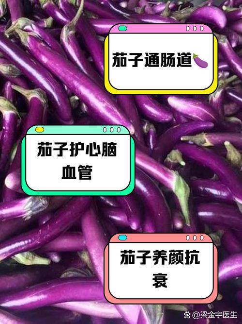 茄子如何有效辅助治疗脂肪肝？