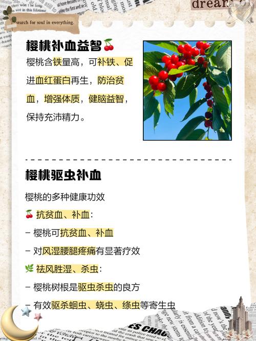 这个被称为冬日樱桃，集多重功效于一身的神奇水果究竟是什么呢？