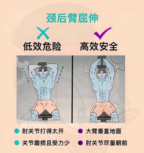 如何同过简易锻炼法有效增强臂肌？