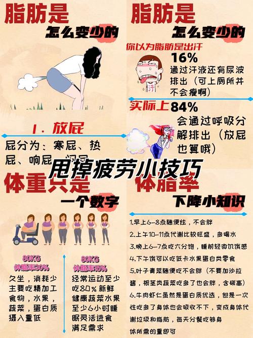 如何轻松破解白领男士的脂肪危机难题？