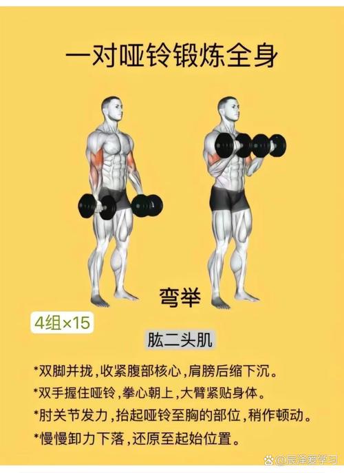 清晨哑铃操能唤醒新陈代谢吗？