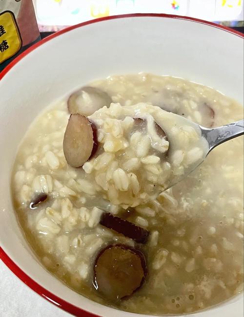 这款减肥粥适合我吗？有没有推荐的？