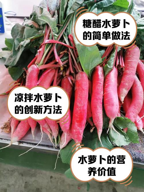 有没有适合春夏食用的健康护肤超级食品推荐，比如水萝卜？