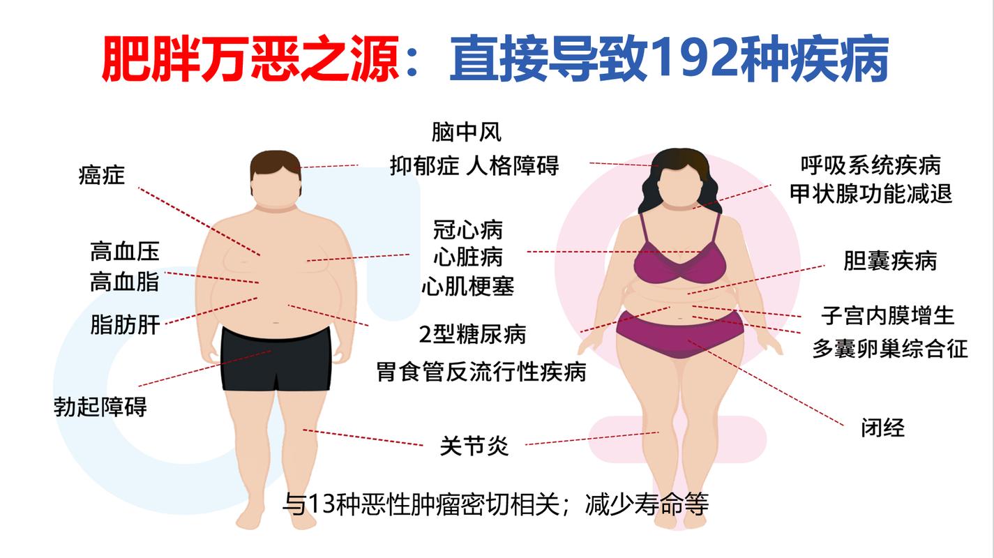 肥胖难道不是新陈代谢出了问题吗？