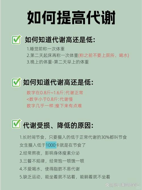 如何通过调节代谢轻松实现快速减肥？