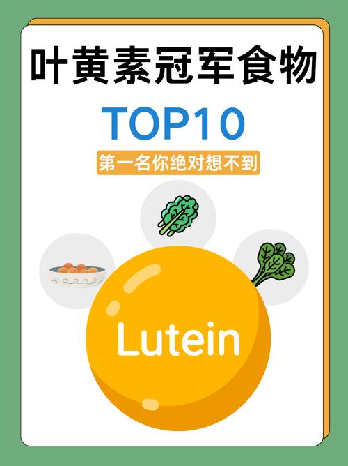 营养专家评选的食物冠军榜上，哪种食物被评为最佳营养冠军呢？