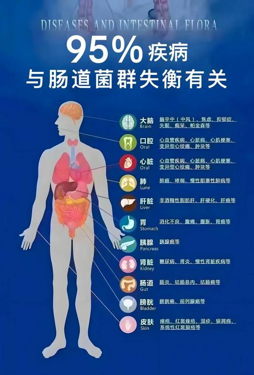 改善肠道环境，难道不是决定减肥能否成功的关键因素吗？