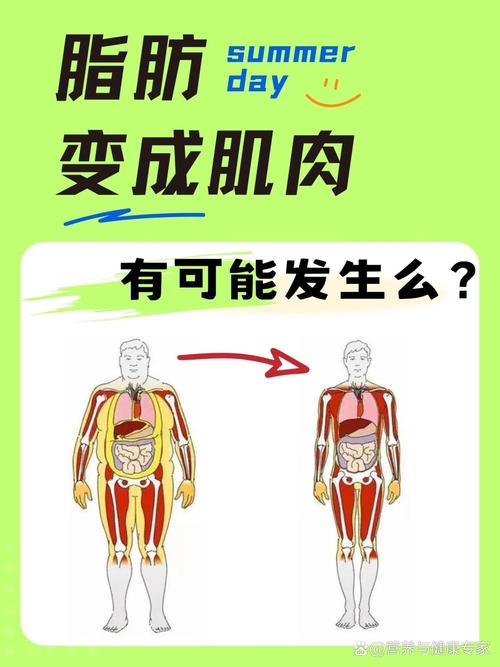 减肥过程中脂肪会转化成肌肉吗？