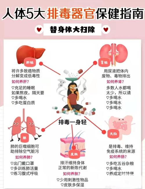 如何通过由内至外大清理，给身体实现彻底排毒呢？