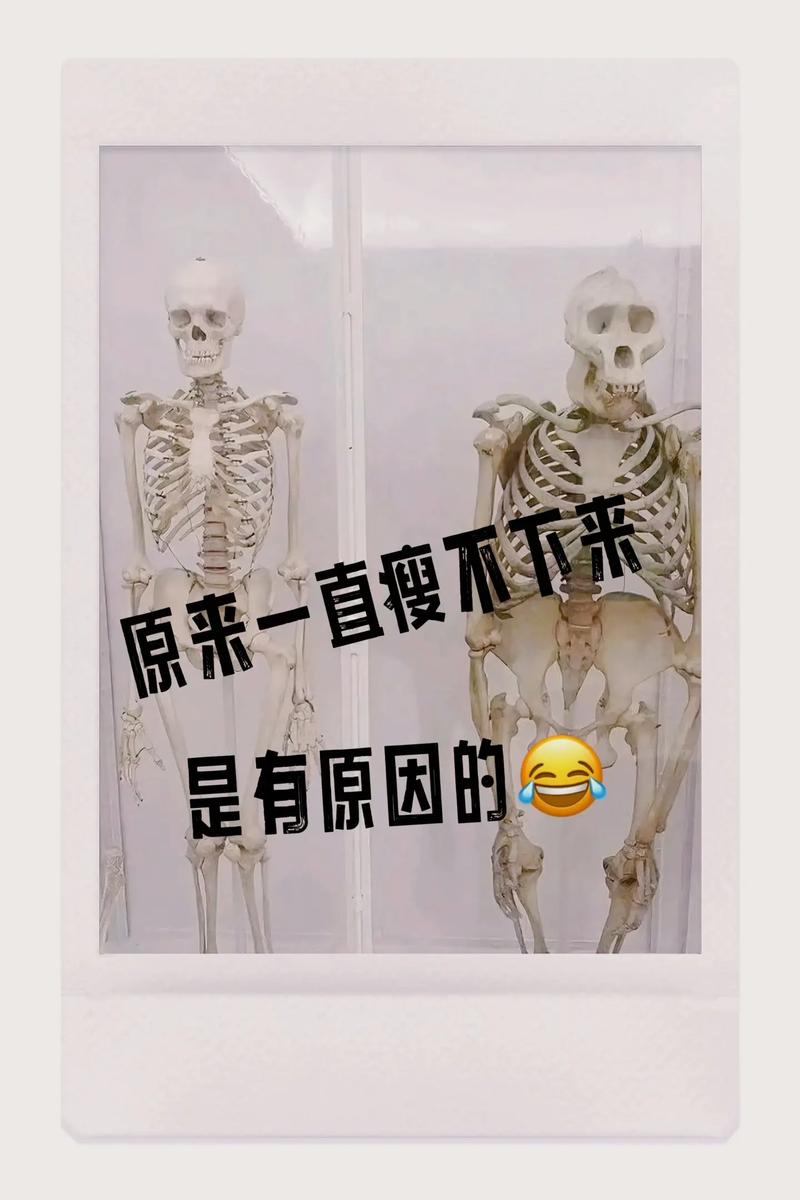 为什么我总是瘦不下来是不是这4大祸根在作祟？