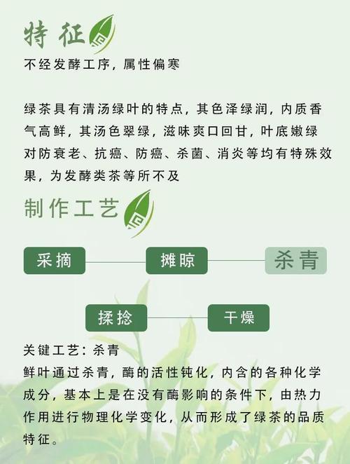 绿茶真的能帮助减肥吗？这是真的吗？