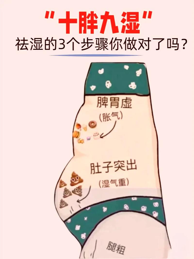 哪种祛湿减肥法能让我远离圆胖身材？