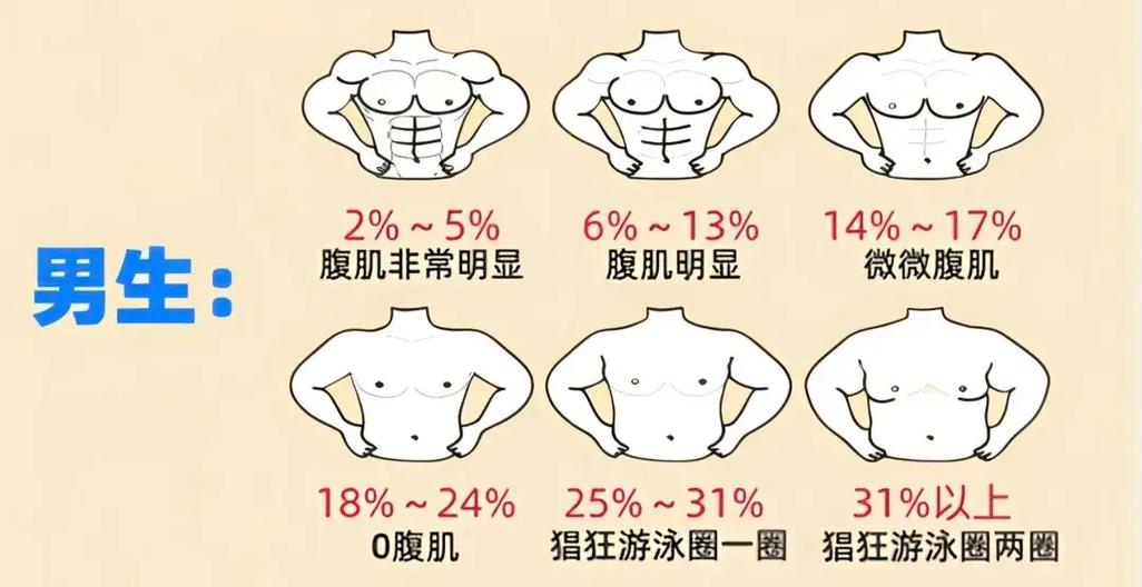 如何准确测量自己的腹部脂肪含量？
