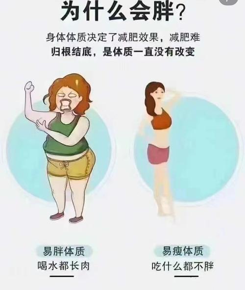 为何现代社会中女性群体更容易出现肥胖现象？