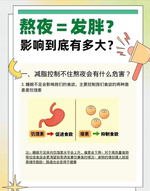 熬夜真的能帮助减肥吗？越晚睡反而更容易发胖吗？