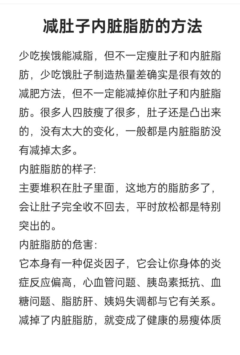 如何同过5个有效方法有效消除内脏脂肪？