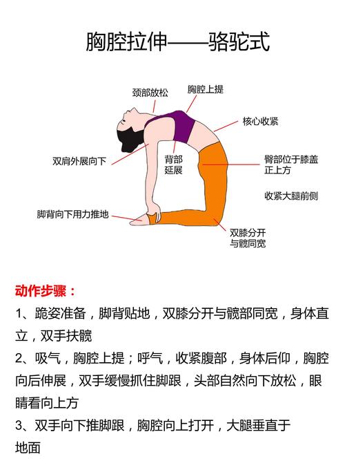 如何通过每天30分钟高效瑜伽9式练习，轻松拥有迷人身材？