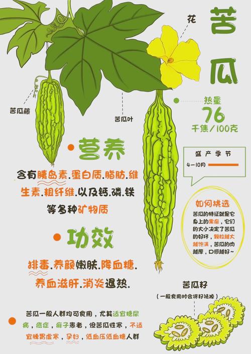 产后减肥，苦瓜是不是一个彳艮好的选择呢？
